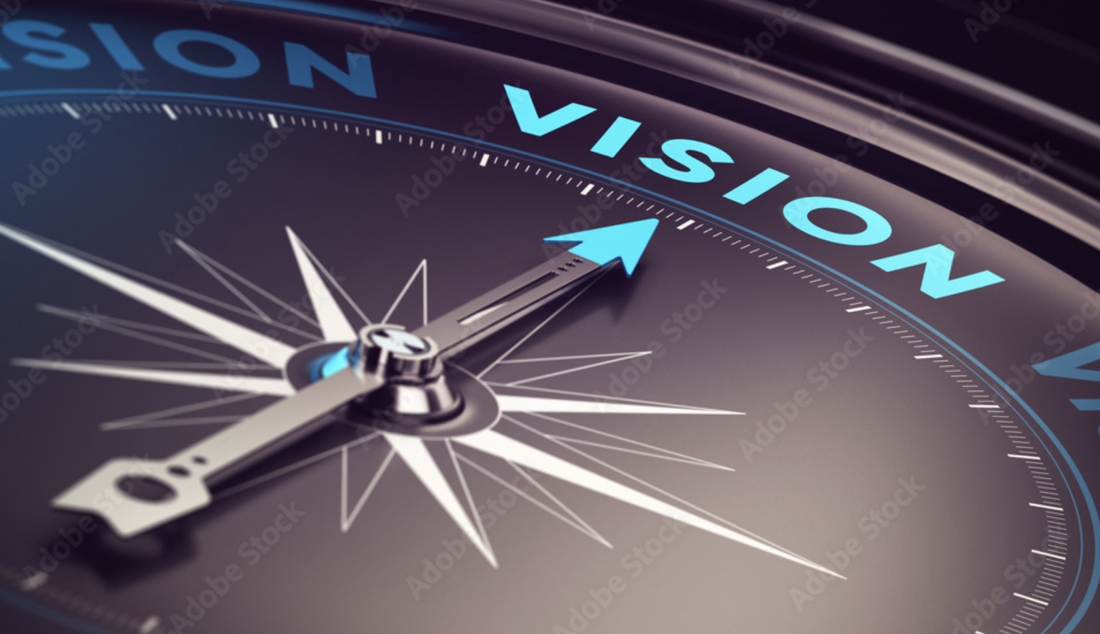 Vision
